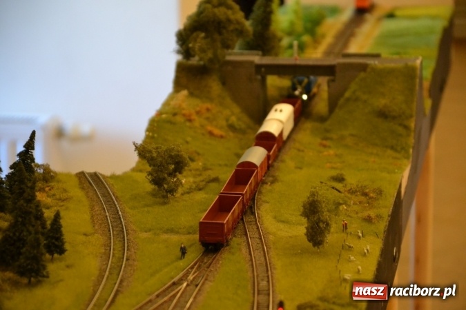 Zdjęcie w galerii na portalu naszraciborz.pl: Kolej - nie wszystko stracone, ale potrzeba większej aktywności wiadomości z regionu