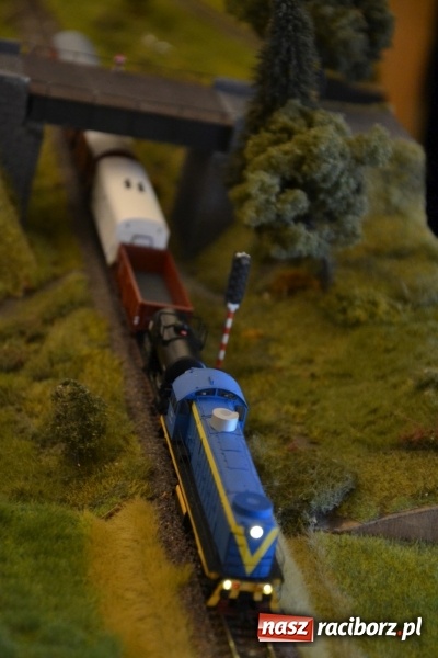 Zdjęcie w galerii na portalu naszraciborz.pl: Kolej - nie wszystko stracone, ale potrzeba większej aktywności wiadomości z regionu