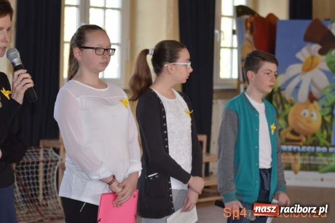 Zdjęcie w galerii na portalu naszraciborz.pl: Szkoła Podstawowa nr 4 w Raciborzu po raz drugi wzięła udział w akcji Żonkile wiadomości z regionu