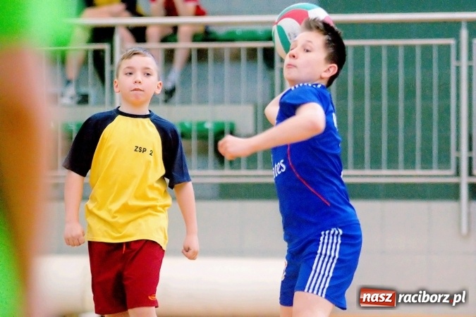 Zdjęcie w galerii na portalu naszraciborz.pl: II Mistrzostwa Raciborza w Dwa Ognie. SP 13 z pucharem wiadomości z regionu