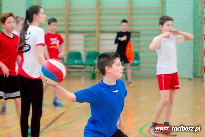Zdjęcie w galerii na portalu naszraciborz.pl: II Mistrzostwa Raciborza w Dwa Ognie. SP 13 z pucharem wiadomości z regionu