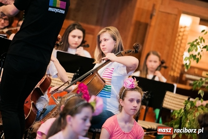 Zdjęcie w galerii na portalu naszraciborz.pl: Oblężenie szkoły muzycznej, która otworzyła swoje drzwi  wiadomości z regionu