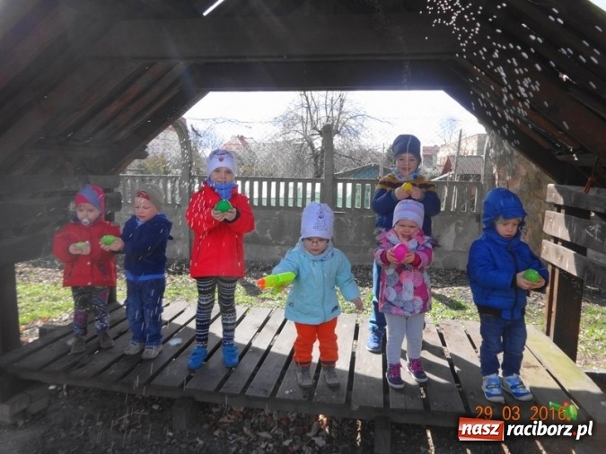 Zdjęcie w galerii na portalu naszraciborz.pl: Raciborskie Fikusie już po inauguracji sezonu wiadomości z regionu