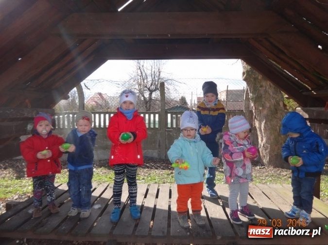 Zdjęcie w galerii na portalu naszraciborz.pl: Raciborskie Fikusie już po inauguracji sezonu wiadomości z regionu