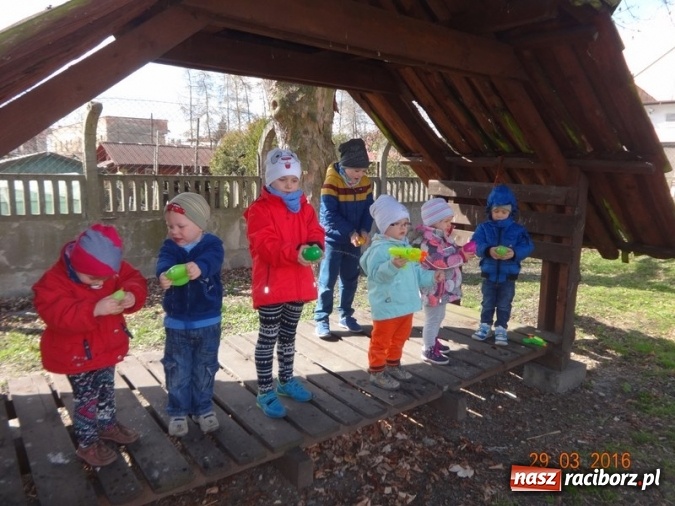 Zdjęcie w galerii na portalu naszraciborz.pl: Raciborskie Fikusie już po inauguracji sezonu wiadomości z regionu