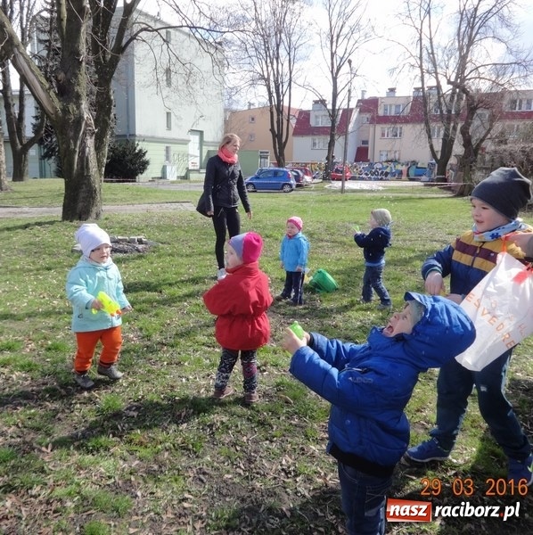 Zdjęcie w galerii na portalu naszraciborz.pl: Raciborskie Fikusie już po inauguracji sezonu wiadomości z regionu