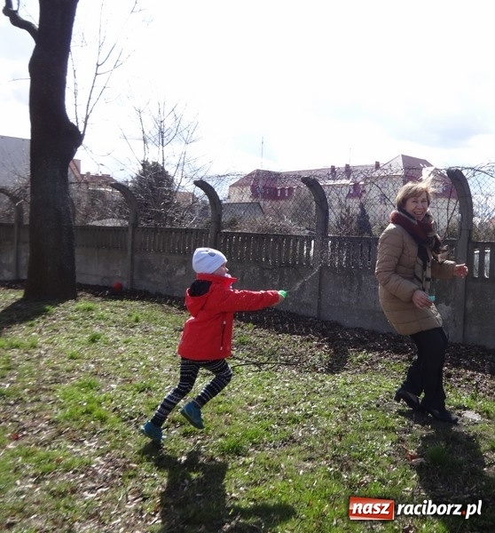 Zdjęcie w galerii na portalu naszraciborz.pl: Raciborskie Fikusie już po inauguracji sezonu wiadomości z regionu