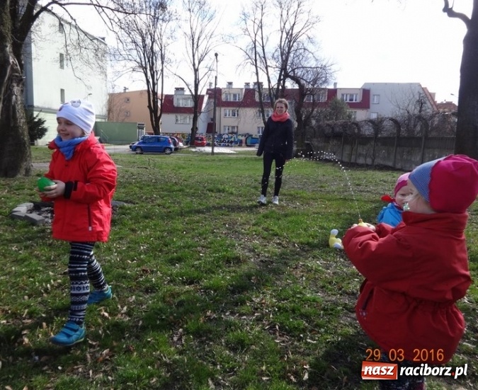 Zdjęcie w galerii na portalu naszraciborz.pl: Raciborskie Fikusie już po inauguracji sezonu wiadomości z regionu