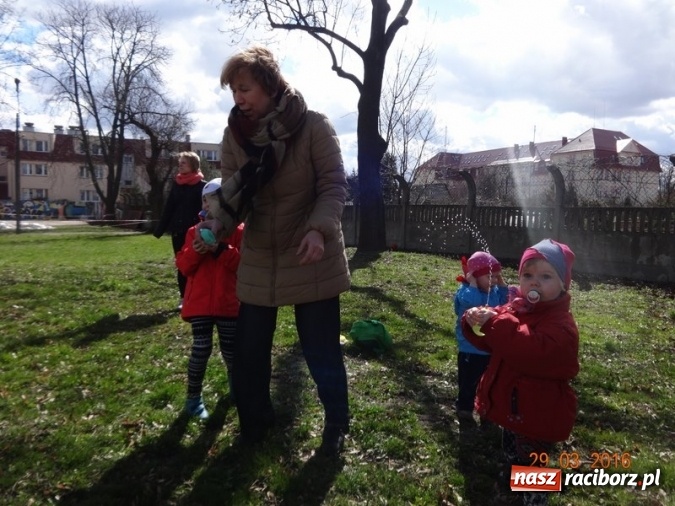 Zdjęcie w galerii na portalu naszraciborz.pl: Raciborskie Fikusie już po inauguracji sezonu wiadomości z regionu