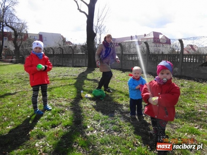 Zdjęcie w galerii na portalu naszraciborz.pl: Raciborskie Fikusie już po inauguracji sezonu wiadomości z regionu
