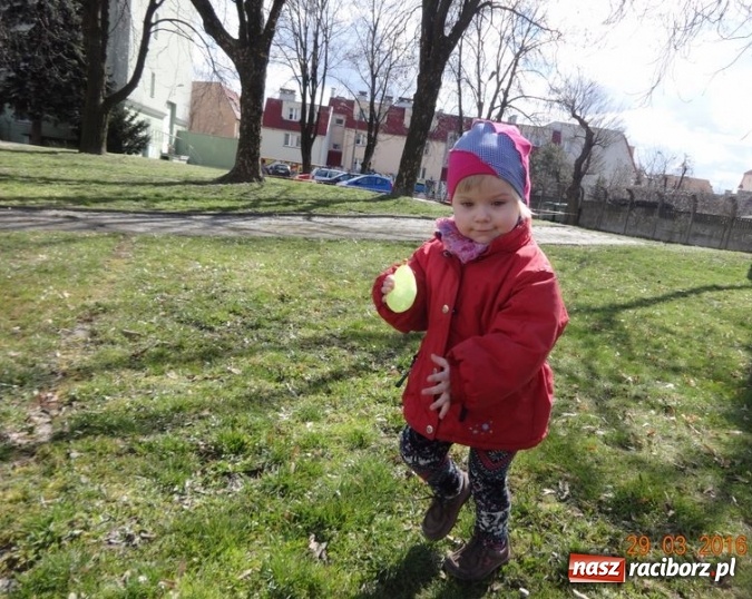 Zdjęcie w galerii na portalu naszraciborz.pl: Raciborskie Fikusie już po inauguracji sezonu wiadomości z regionu