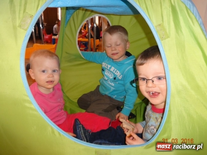 Zdjęcie w galerii na portalu naszraciborz.pl: Raciborskie Fikusie już po inauguracji sezonu wiadomości z regionu