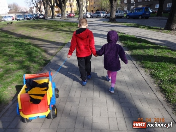 Zdjęcie w galerii na portalu naszraciborz.pl: Raciborskie Fikusie już po inauguracji sezonu wiadomości z regionu