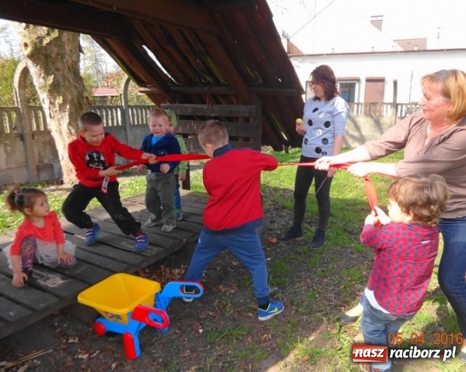 Zdjęcie w galerii na portalu naszraciborz.pl: Raciborskie Fikusie już po inauguracji sezonu wiadomości z regionu