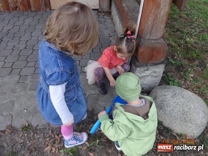 Zdjęcie w galerii na portalu naszraciborz.pl: Raciborskie Fikusie już po inauguracji sezonu wiadomości z regionu