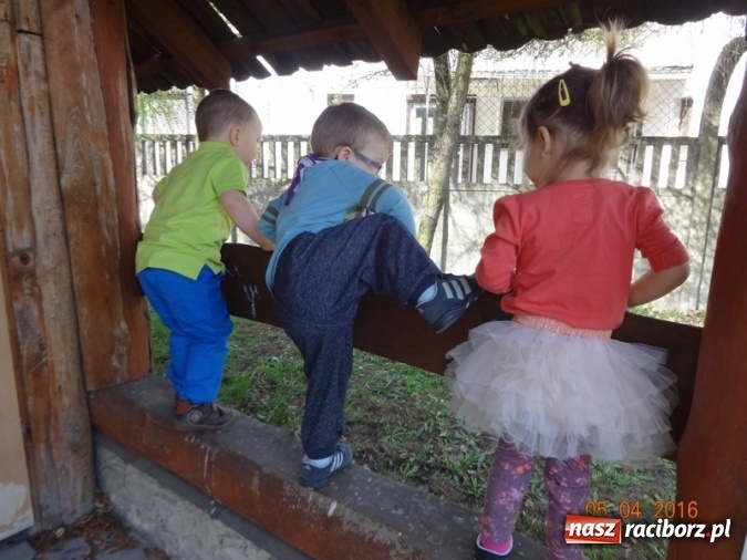 Zdjęcie w galerii na portalu naszraciborz.pl: Raciborskie Fikusie już po inauguracji sezonu wiadomości z regionu