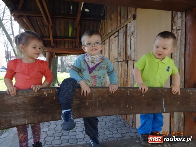 Zdjęcie w galerii na portalu naszraciborz.pl: Raciborskie Fikusie już po inauguracji sezonu wiadomości z regionu