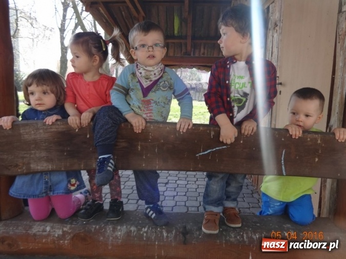 Zdjęcie w galerii na portalu naszraciborz.pl: Raciborskie Fikusie już po inauguracji sezonu wiadomości z regionu