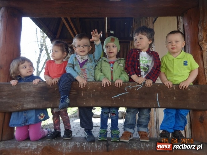 Zdjęcie w galerii na portalu naszraciborz.pl: Raciborskie Fikusie już po inauguracji sezonu wiadomości z regionu