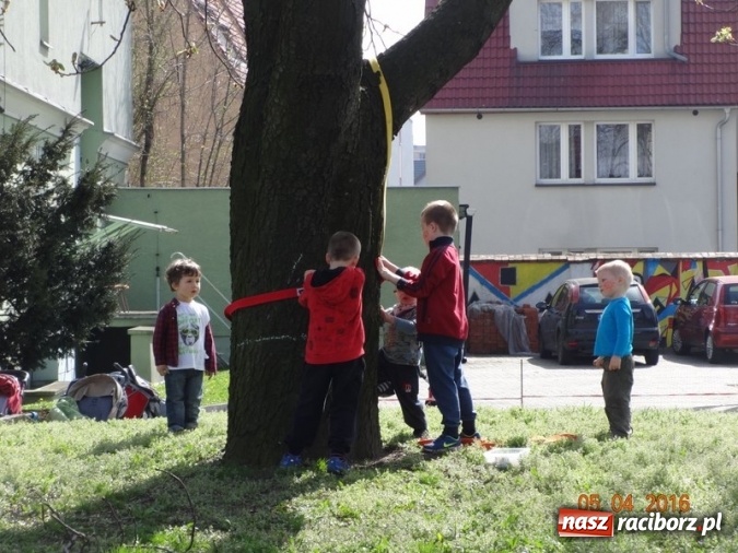 Zdjęcie w galerii na portalu naszraciborz.pl: Raciborskie Fikusie już po inauguracji sezonu wiadomości z regionu