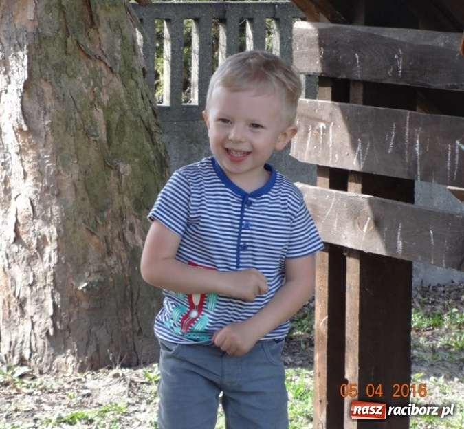 Zdjęcie w galerii na portalu naszraciborz.pl: Raciborskie Fikusie już po inauguracji sezonu wiadomości z regionu