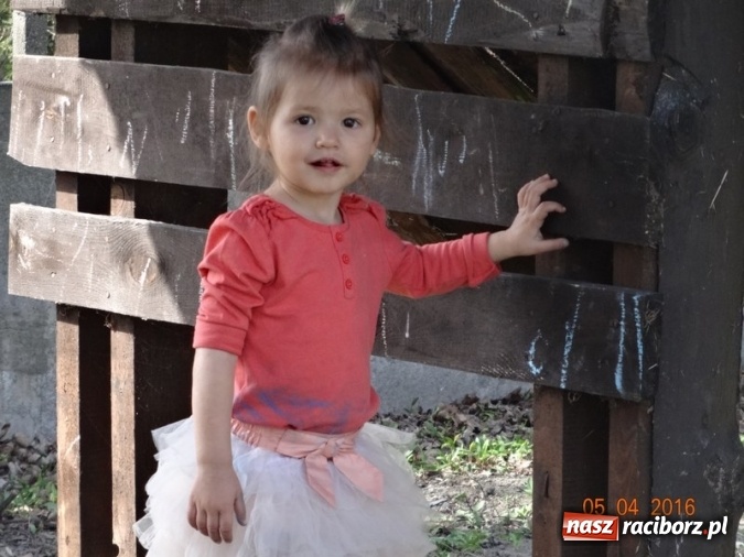Zdjęcie w galerii na portalu naszraciborz.pl: Raciborskie Fikusie już po inauguracji sezonu wiadomości z regionu