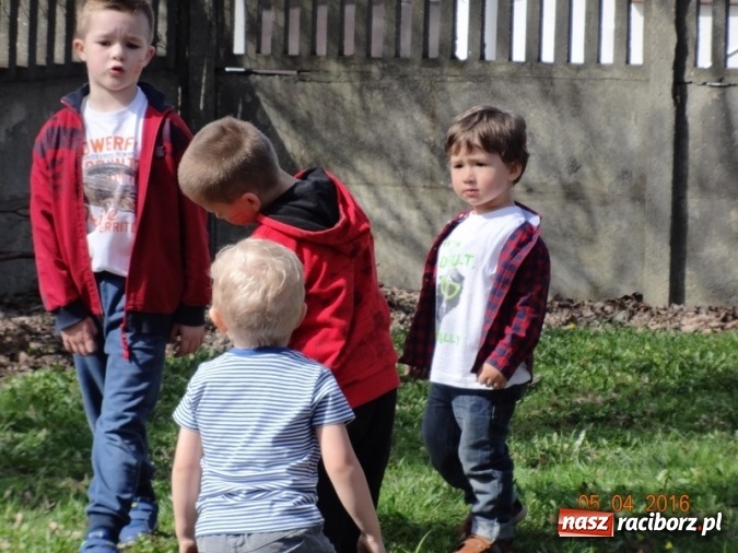Zdjęcie w galerii na portalu naszraciborz.pl: Raciborskie Fikusie już po inauguracji sezonu wiadomości z regionu