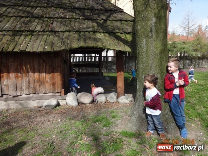 Zdjęcie w galerii na portalu naszraciborz.pl: Raciborskie Fikusie już po inauguracji sezonu wiadomości z regionu