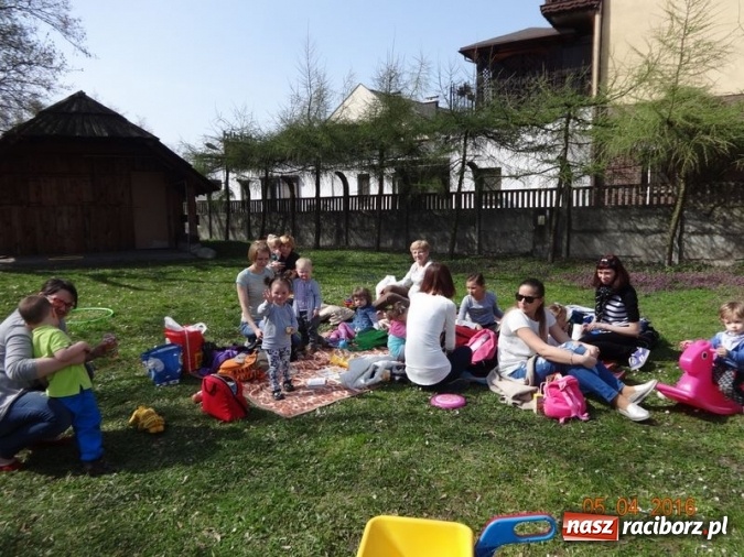 Zdjęcie w galerii na portalu naszraciborz.pl: Raciborskie Fikusie już po inauguracji sezonu wiadomości z regionu