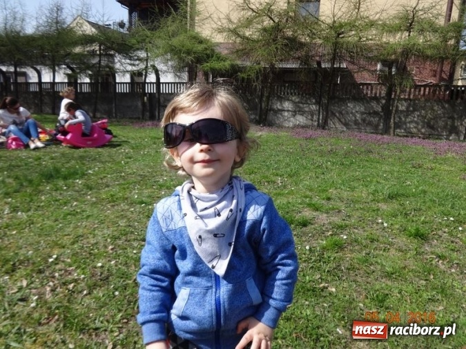 Zdjęcie w galerii na portalu naszraciborz.pl: Raciborskie Fikusie już po inauguracji sezonu wiadomości z regionu