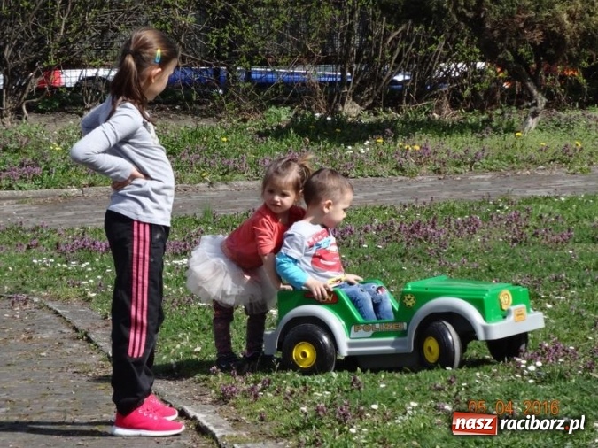 Zdjęcie w galerii na portalu naszraciborz.pl: Raciborskie Fikusie już po inauguracji sezonu wiadomości z regionu