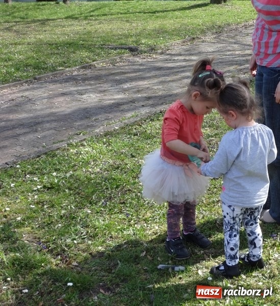 Zdjęcie w galerii na portalu naszraciborz.pl: Raciborskie Fikusie już po inauguracji sezonu wiadomości z regionu