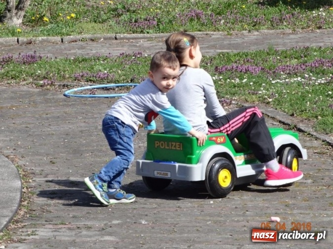 Zdjęcie w galerii na portalu naszraciborz.pl: Raciborskie Fikusie już po inauguracji sezonu wiadomości z regionu