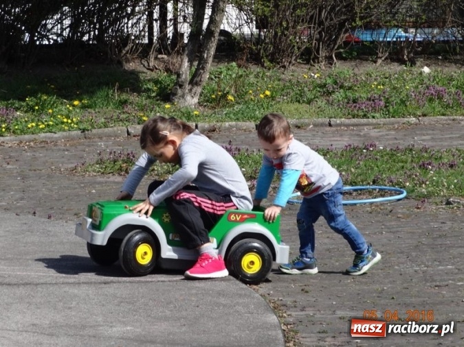Zdjęcie w galerii na portalu naszraciborz.pl: Raciborskie Fikusie już po inauguracji sezonu wiadomości z regionu