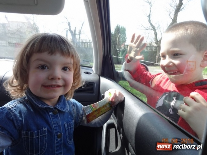 Zdjęcie w galerii na portalu naszraciborz.pl: Raciborskie Fikusie już po inauguracji sezonu wiadomości z regionu