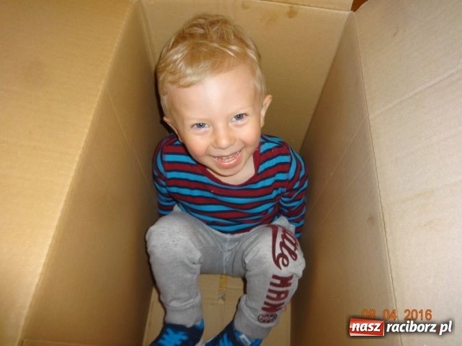 Zdjęcie w galerii na portalu naszraciborz.pl: Raciborskie Fikusie już po inauguracji sezonu wiadomości z regionu