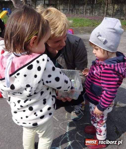 Zdjęcie w galerii na portalu naszraciborz.pl: Raciborskie Fikusie już po inauguracji sezonu wiadomości z regionu