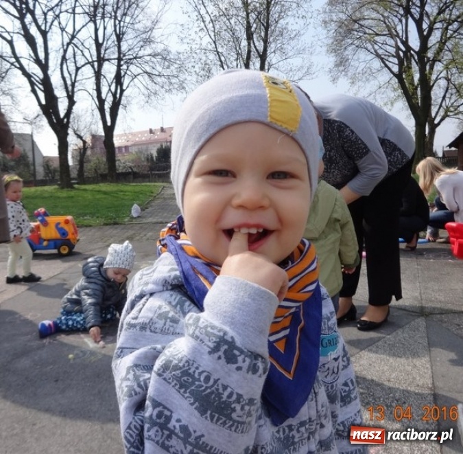 Zdjęcie w galerii na portalu naszraciborz.pl: Raciborskie Fikusie już po inauguracji sezonu wiadomości z regionu