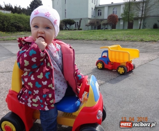 Zdjęcie w galerii na portalu naszraciborz.pl: Raciborskie Fikusie już po inauguracji sezonu wiadomości z regionu