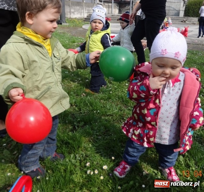 Zdjęcie w galerii na portalu naszraciborz.pl: Raciborskie Fikusie już po inauguracji sezonu wiadomości z regionu