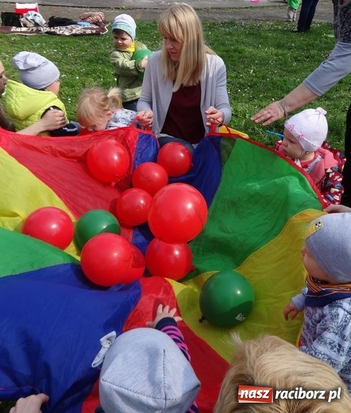 Zdjęcie w galerii na portalu naszraciborz.pl: Raciborskie Fikusie już po inauguracji sezonu wiadomości z regionu