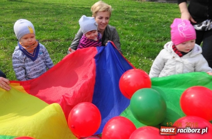 Zdjęcie w galerii na portalu naszraciborz.pl: Raciborskie Fikusie już po inauguracji sezonu wiadomości z regionu