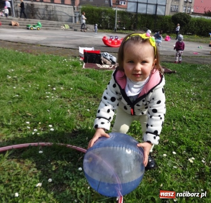 Zdjęcie w galerii na portalu naszraciborz.pl: Raciborskie Fikusie już po inauguracji sezonu wiadomości z regionu