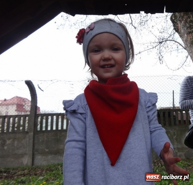 Zdjęcie w galerii na portalu naszraciborz.pl: Raciborskie Fikusie już po inauguracji sezonu wiadomości z regionu