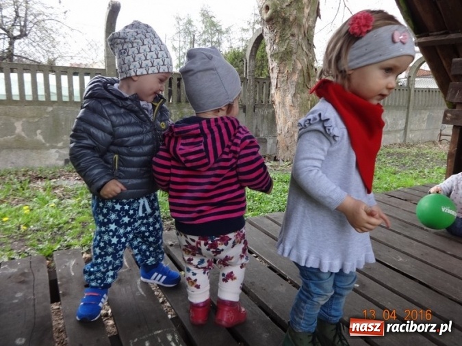 Zdjęcie w galerii na portalu naszraciborz.pl: Raciborskie Fikusie już po inauguracji sezonu wiadomości z regionu