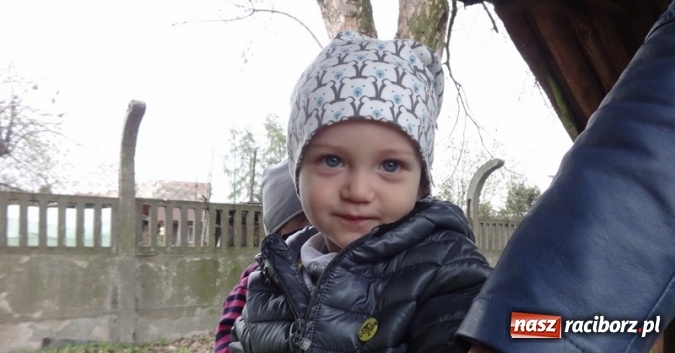 Zdjęcie w galerii na portalu naszraciborz.pl: Raciborskie Fikusie już po inauguracji sezonu wiadomości z regionu