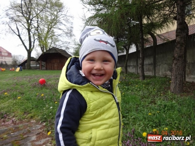 Zdjęcie w galerii na portalu naszraciborz.pl: Raciborskie Fikusie już po inauguracji sezonu wiadomości z regionu