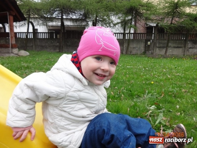 Zdjęcie w galerii na portalu naszraciborz.pl: Raciborskie Fikusie już po inauguracji sezonu wiadomości z regionu