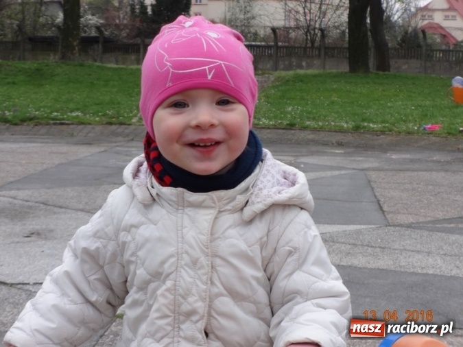 Zdjęcie w galerii na portalu naszraciborz.pl: Raciborskie Fikusie już po inauguracji sezonu wiadomości z regionu