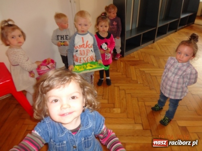 Zdjęcie w galerii na portalu naszraciborz.pl: Raciborskie Fikusie już po inauguracji sezonu wiadomości z regionu